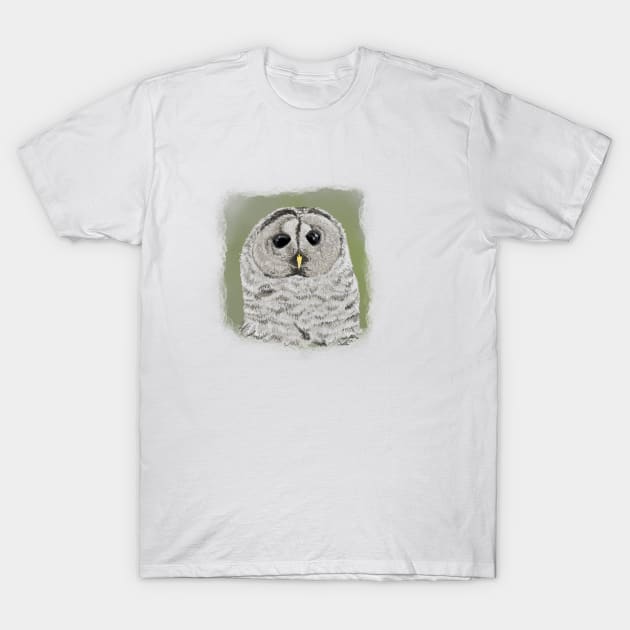 Barred Owl T-Shirt by FernheartDesign